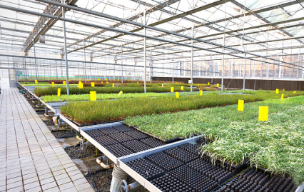 關(guān)于我們 深耕農(nóng)業(yè)種植技術(shù)開發(fā)，賦能現(xiàn)代農(nóng)業(yè)發(fā)展