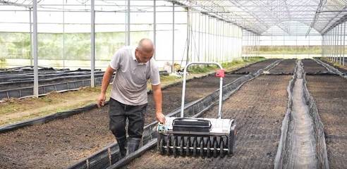 銅鼓林下黃精種植 以技術(shù)開發(fā)促青山變金山