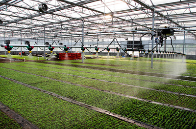 信陽市浉河區(qū) 步入鄉(xiāng)村振興“快車道”，農(nóng)業(yè)種植技術(shù)開發(fā)引領(lǐng)新篇章