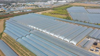 茗園現(xiàn)代農(nóng)業(yè) 拓路前行，贏戰(zhàn)龍年——農(nóng)業(yè)種植技術(shù)開發(fā)新篇章