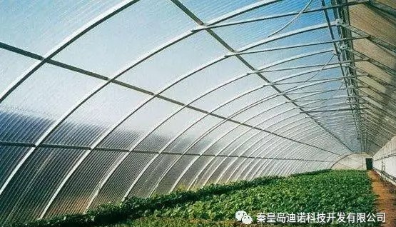 秦皇島迪諾科技 引領農業種植技術開發新未來