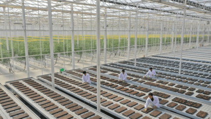 低碳農業引領綠色鄉村建設 德清農業種植技術開發跑出發展加速度