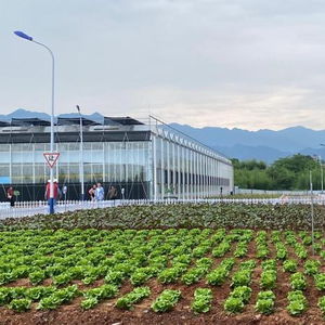 探訪四省邊際數字農業科創園 蔬菜種出‘科技范兒’，揭秘農業種植技術新篇章