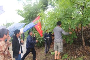 米易縣農(nóng)業(yè)種植技術(shù)開發(fā) 科技創(chuàng)新賦能鄉(xiāng)村振興