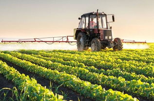 雙鴨山 中國最東的房價(jià)洼地，農(nóng)業(yè)技術(shù)開發(fā)的新熱土