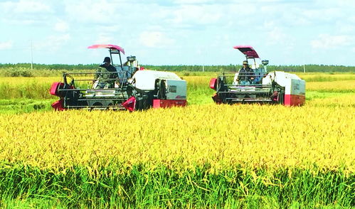 新農(nóng)人 以技術(shù)革新開創(chuàng)農(nóng)業(yè)種植新未來